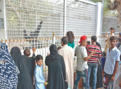 observers paint a grim picture of neglect at zoo observers paint a grim picture of neglect at zoo