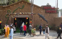 minor missing from zoo found