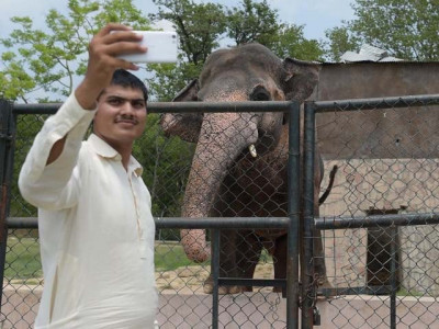 administrative failure short staffed karachi zoo aiding animal neglect administrative failure short staffed karachi zoo aiding animal neglect