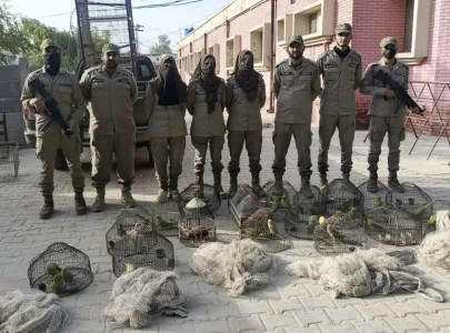 punjab wildlife department arrests 18 in crackdown on illegal hunting trade punjab wildlife department arrests 18 in crackdown on illegal hunting trade