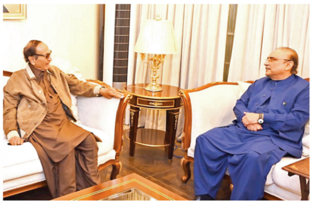 zardari shujaat vow to continue supporting govt zardari shujaat vow to continue supporting govt