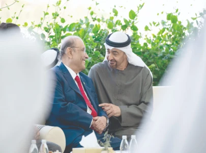 zardari uae counterpart discuss ways to boost strategic partnership